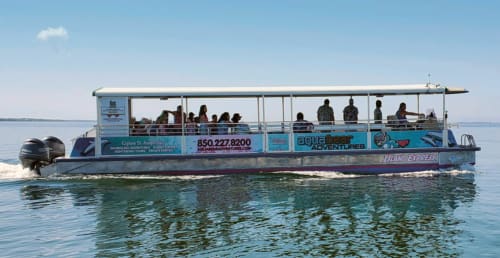 Aqua Bear Adventures taking tourists on a sightseeing cruise on their catamaran