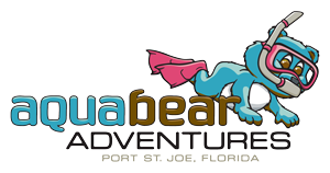Aqua Bear Adventures logo