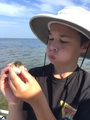 Child holding and imitating puffer fish found near Cape San Blas