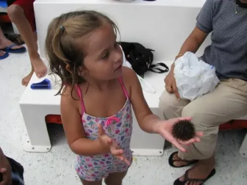 Child holding sea urchin found on snorkeling trip